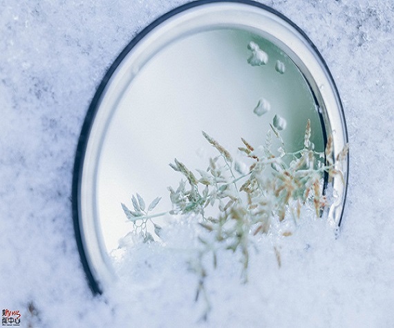 燕园镜像（组图）