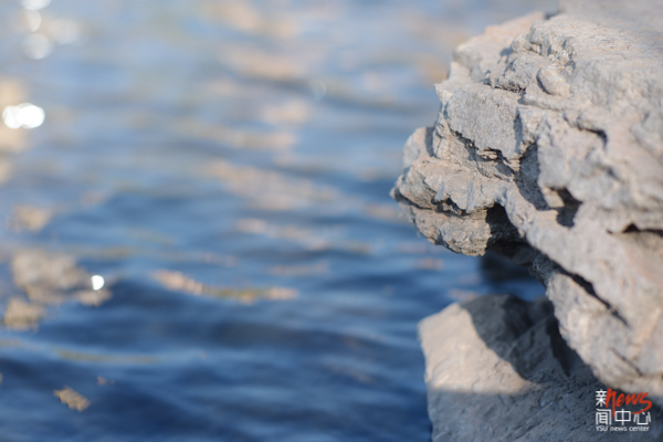 我把家乡的春天送给母校@成人论坛（组图）